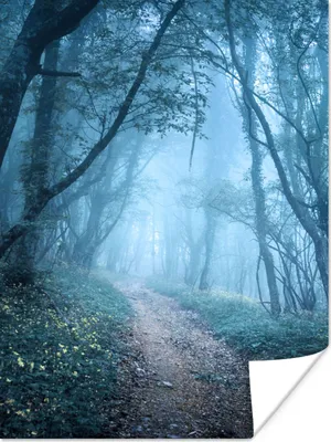 Produktbild von MuchoWow® Poster Bäume - Natur - Nebel 90x120 cm - Wohnzimmer