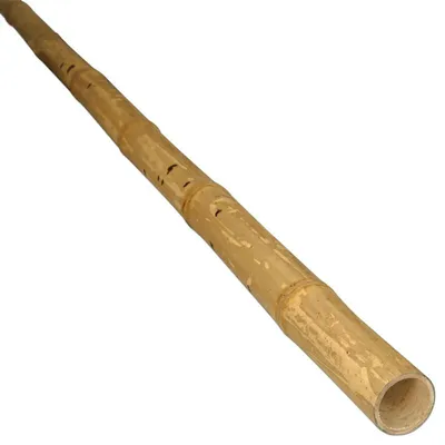 Produktbild von Bambusstange Guadua Ø 5-7 cm  1m
