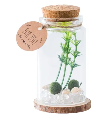Zdjęcie produktu dla Miniaturowe szklane butelki do rękodzieła i dekoracji