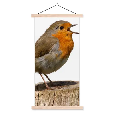 Produktbild von MuchoWow® Textilposter Rotkehlchen - Vogel - Holz 60x120 cm mit holzfarbenen Rahmen - Holz