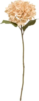Produktbild von Kunstblume fria h62cm  - Atmosphera créateur d'intérieur