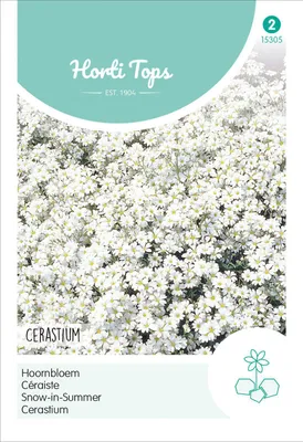 Artikelbild 2 von 'Cerastium' aus der Kategorie Blumensamen