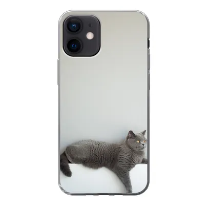 Produktbild von MuchoWow® Handyhülle Schutzhülle Hülle für iPhone 12 Katze - Britisch Kurzhaar - Grau - Mädchen - Kinder - Jungen - Kinder Silikon Softcase Handy Hülle - Schutzhülle