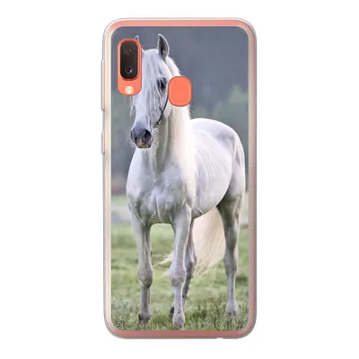 Produktbild von MuchoWow® Handyhülle Schutzhülle Hülle für Samsung Galaxy A20e Pferd - Licht - Morgen Silikon Softcase Handy Hülle - Abdeckung