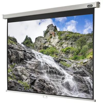 Image de celexon Professional - Manuell - 2.9 m - 2.18 m - 4:3
