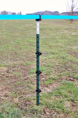 Produktbild von Kerbl T-Pfahl, 213cm, grün lackiert - 5 Stück