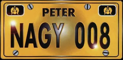 Zdjęcie produktu dla Peter Nagy - 008 (Reissue) (Remastered) (CD)