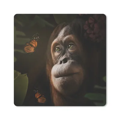 Produktbild von MuchoWow® Mauspad Mousepad Schmetterling - Affe - Dschungel 20x20 cm - Mousepads - Maus Mat - Pad - Mausunterlage - Desk Mat - Bureauartikeln