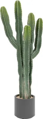 Produktbild von Kaktus "exotic panama" h117cm grün  - Atmosphera créateur d'intérieur