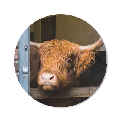 Produktbild von MuchoWow® Mauspad Mousepad Schottischer Highlander - Bauernhaus - Scheune 20x20 cm - Mousepads - Maus Mat - Pad - Mausunterlage - Schreibtischmatte