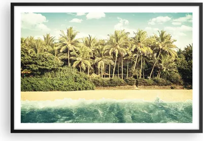 Produktbild von Gerahmtes Poster - Schwarzer Rahmen - Natur Strand Palmen - 91,5x61 cm - Wand Bild - Wanddeko - Wandbilder - Kunstposter - Wandposter - Bilderrahmen - Bilder - Kunstdruck - P2BAA91x61-4915