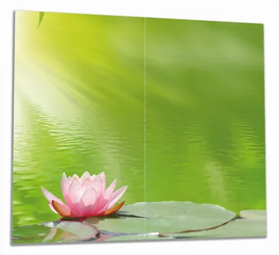 Produktbild von Wallario Herdabdeckplatte aus Glas, Größe 60 x 52 cm 2-teilig, Motiv Seerose auf dem Wasser