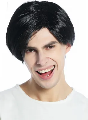 Produktbild von WIG ME UP Perücke Herren Männer Scheitel Schwarz CW-001-P103