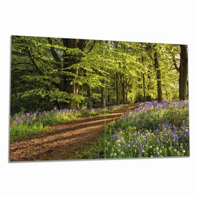 Produktbild von Wallario Herdabdeckplatte aus Glas, Größe 80 x 52 cm 2-teilig, Motiv Blaues Hasenglöckchen im Sommerwald