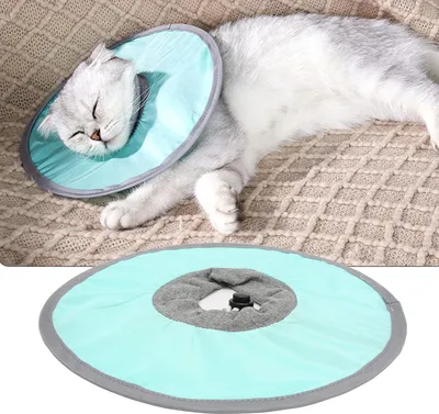Produktbild von Elizabethanischer Halsband Wasserdicht für Katze - Verhindert Lecken - Katzenkragen Haustierkopfbedeckung - Katzen-Erholungs-Halsband nach Operation - Größe M