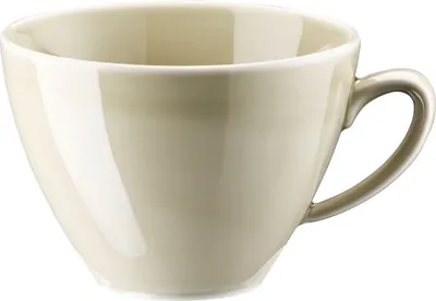Produktbild von Rosenthal Mesh Colours Cream Kombi-Obertasse 0,29 l