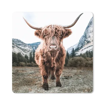 Produktbild von MuchoWow® Mauspad Mousepad Schottischer Highlander - Berg - Tiere 30x30 cm - Mousepads - Maus Mat - Pad - Mausunterlage - Gaming