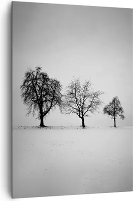 Produktbild von Bild auf Leinwand - Leinwandbild - Einteilig - Winter Bäume Schnee - 70x100cm - Wand Bild - Wanddeko - Wandbilder - Leinwanddruck - Wanddekoration - Leinwand bilder - Wandbild - PA70x100-4958