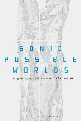 Produktbild von Sonic Possible Worlds