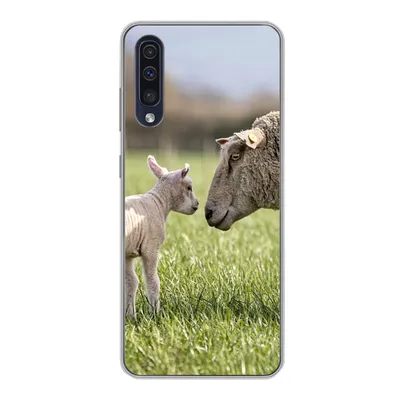 Produktbild von MuchoWow® Handyhülle Schutzhülle Hülle für Samsung Galaxy A30s Schafe - Gras - Lamm Silikon Softcase Handy Hülle - Karteninhaber