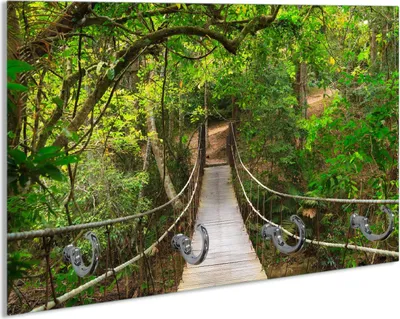 Produktbild von Wallario Schlüsselbrett aus Glas, Motiv: Hängebrücke im Urwald  grüner Dschungel, 30 x 20 cm mit 4 Haken