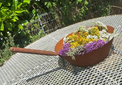 Produktbild von Edelrost Bratpfanne zum Bepflanzen 22x46cm Rost Pflanzpfanne Blumentopf Windlicht Edelrost Gartendeko Pfanne Pflanzschale