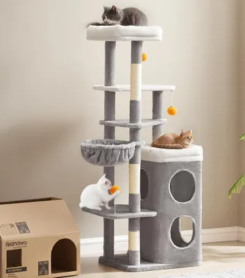 Three cats are interacting with a multi-level cat tree in a room.