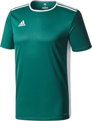 Imagen del producto de ADIDAS Entrada 18 JSYY, color verde/blanco, talla 116