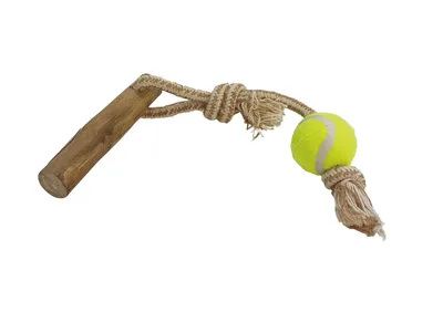 Produktbild von Nobby Hundespielzeug Kaffeeholz mit Seil, Größe: S