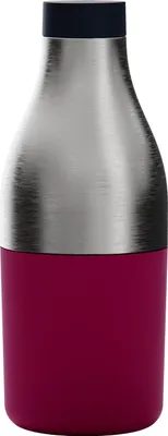 Immagine prodotto di caraffa thermos 2 in 1 con contenitore per alimenti, viola - Trebonn | Essen + Trinken 2