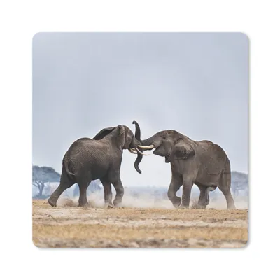 Produktbild von MuchoWow® Mauspad Mousepad Elefant - Tiere - Flachland - Natur 20x20 cm - Mousepads - Maus Mat - Pad - Mausunterlage - Desk Mat - Bureauartikeln