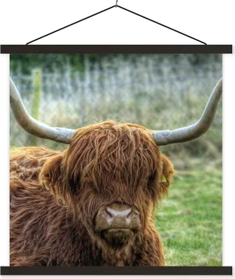 Produktbild von MuchoWow® Textilposter Schottisches Hochlandrind - Kuhkopf - Hörner 40x40 cm mit schwarzem Rahmen - Fotos