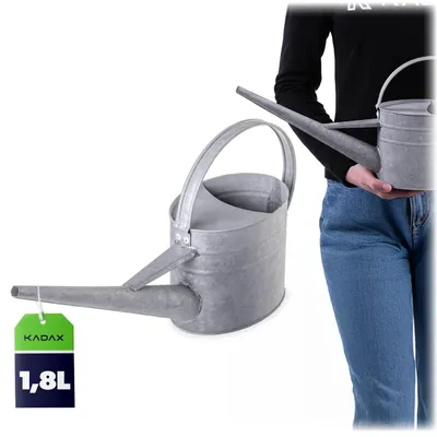 Produktbild von KADAX Zinkgießkanne 2L aus verzinktem Stahl, Vintage Gießkanne mit langem Ausguss, Metall Giesskanne für Zimmerpflanzen, kleine Blumengießkanne (Silber)