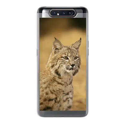 Produktbild von MuchoWow® Handyhülle Schutzhülle Hülle für Samsung Galaxy A80 Luchs - Braun - Gras Silikon Softcase Handy Hülle - Schutzdeckel