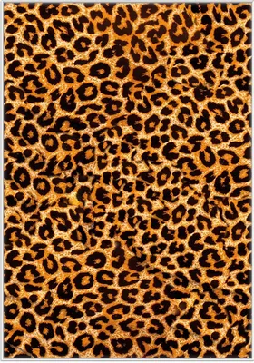Produktbild von Wallario Wandbild Leopardenmuster  in orange schwarz, Größe: 70,30 x 100,30 cm, Poster mit weißem Kunststoffrahmen