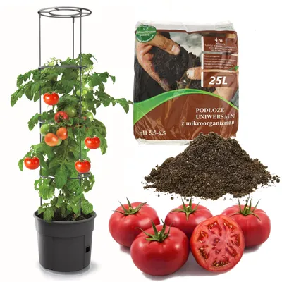 Obrázok produktu pre Rajčiak z plastového kvetináča 28 l + univerzálna zemina 25 l Substrát 4 v 1 s mikroorganizmami pre zeleninu, pestovateľ paradajok, kvetináč na paradajky, sadba, zelenina, podložka pod paradajky