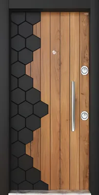 Immagine prodotto di Porta d'ingresso elegante e robusta – Porta moderna con telaio in metallo