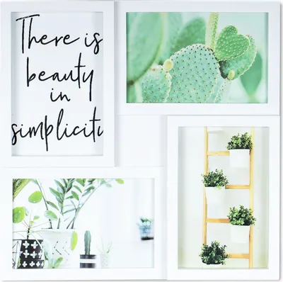 A collage of four framed pictures, featuring a quote, cacti, and houseplants.