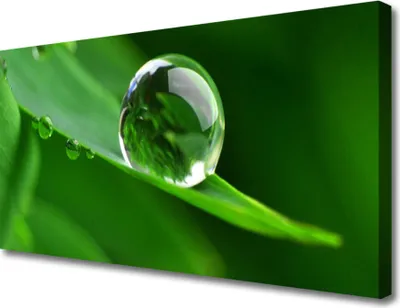 Produktbild von Tulup Leinwand-Bilder 100x50 Wandbild Canvas Kunstdruck Blatt Wassertropfen Pflanzen