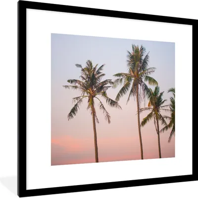 Produktbild von MuchoWow® Gerahmtes Poster Tropisch - Palmen - Sonnenuntergang 40x40 cm - Poster mit Schwarzem Bilderrahmen Wandposter Rahmen Foto Bilder - Poster - Plakat im Rahmen