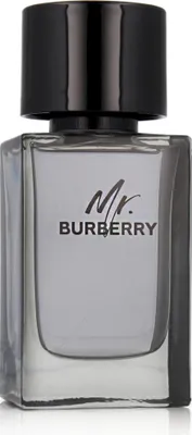 Obrázek produktu pro Burberry Mr., Pánské, 100 ml, Francie