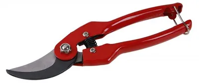 Immagine prodotto di Forbici WINLAND 220 mm