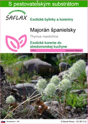 Obrázok produktu pre SAFLAX - Majorán španielsky - Thymus mastichina - 250 Semená - S pestovateľským substrátom bez klíčkov