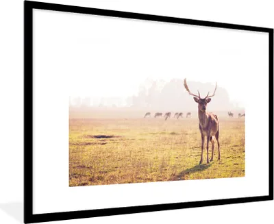 Produktbild von MuchoWow® MuchoWow® Gerahmtes Poster Hirsche - Geweihe - Gras 90x60 cm - Poster mit zchwarzem Bilderrahmen - Wanddekoration - Fotos