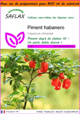 Image de SAFLAX Garden in the bag - Piment habanero - 10 graines - Capsicum