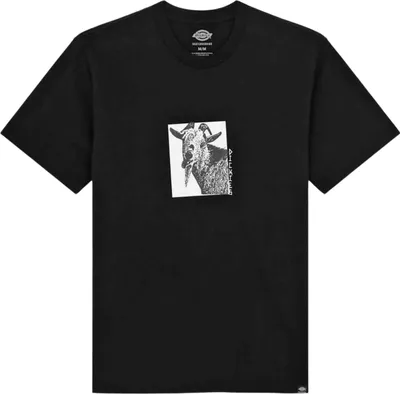Produktbild von T-Shirt Dickies 175940-BLK für Herren