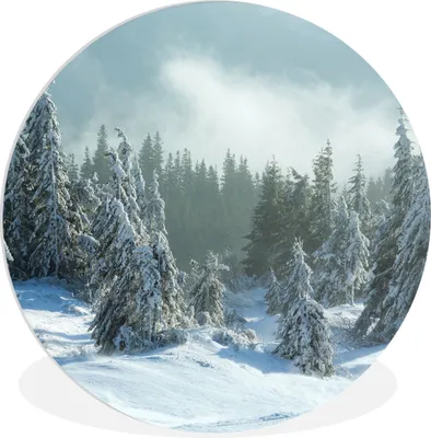 Produktbild von MuchoWow® Rundes Wandbild - Runde Bilder Wald - Schnee - Winter Ø 90 cm Kreis Wanddekoration Kunststoff - Wandkreis - Wandschmuck - Wand-Kreis - Wohnzimmer - Bild - Runde - Wanddeko - Dibond - Kunstdrucke