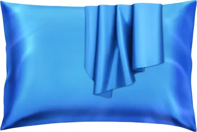 Image de Housses de coussin en soie (1, bleu)
