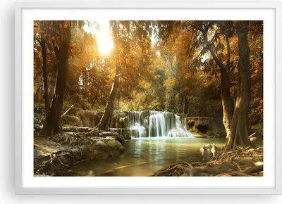 Produktbild von Gerahmtes Poster - Weißer Rahmen - Park Wasserfall Wasser - 70x50 cm - Wand Bild - Wanddeko - Wandbilder - Kunstposter - Wandposter - Bilderrahmen - Bilder - Kunstdruck - Wandbild - P2WAA70x50-3789
