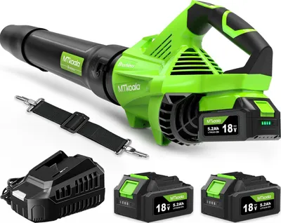 Immagine prodotto di Accu-Bladblazer con motore brushless, 1200 W, 700 CFM
